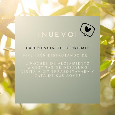 Experiencia Oleoturística
